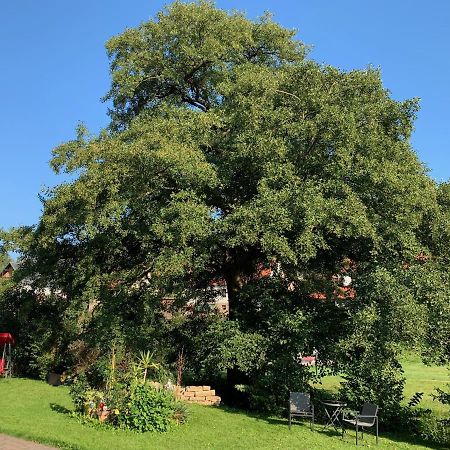Wolfsburg-Unkeroda Ferienwohnung Am Rennsteig Bei Eisenach - Ilona Schmidt מראה חיצוני תמונה